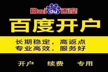 揭秘百度竞价代理：实战案例分析